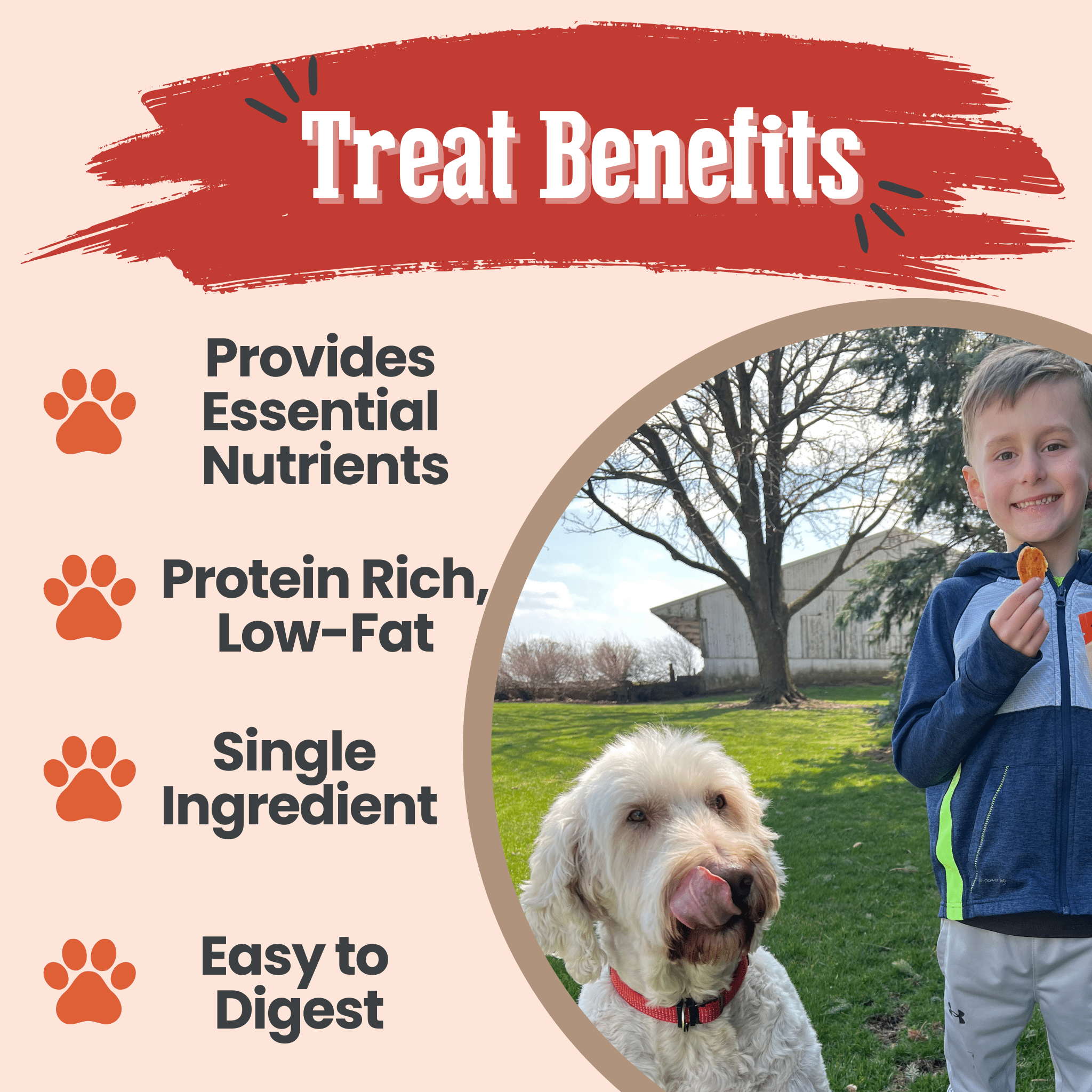 Turkey Chips Dog Treats