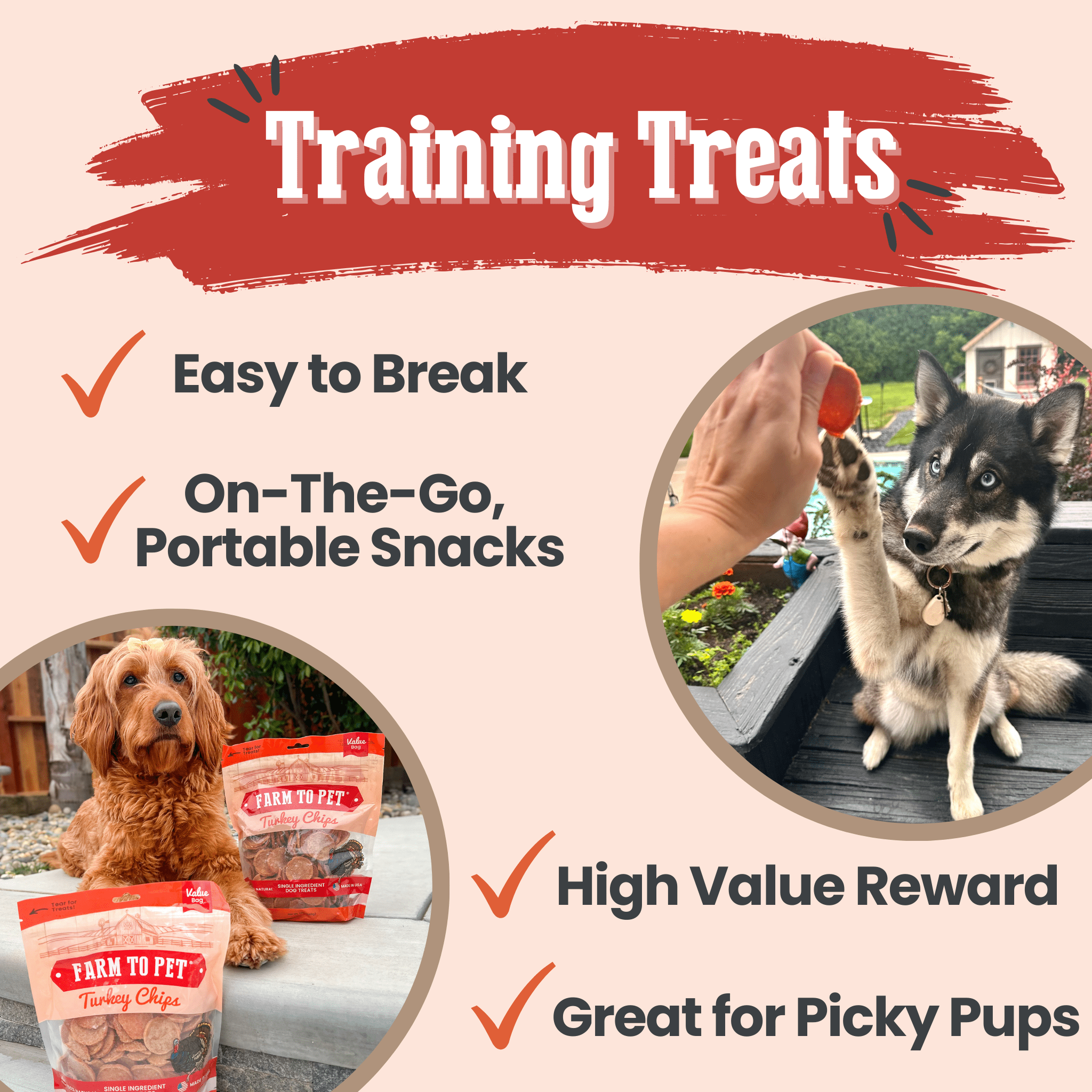 Turkey Chips Dog Treats