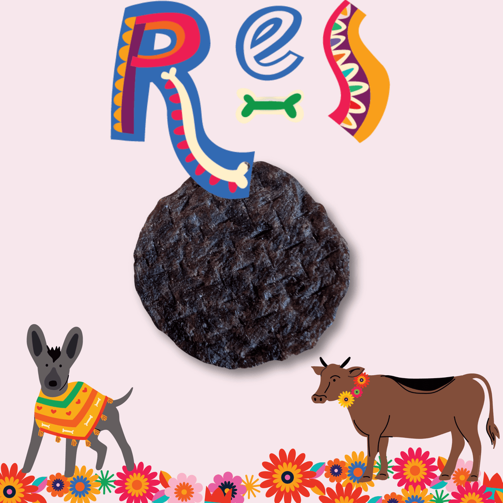 Fiesta Pack Dog Treat Variety Bundle