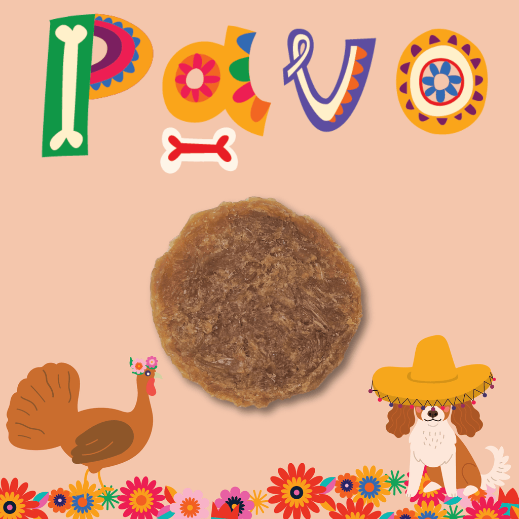 Fiesta Pack Dog Treat Variety Bundle