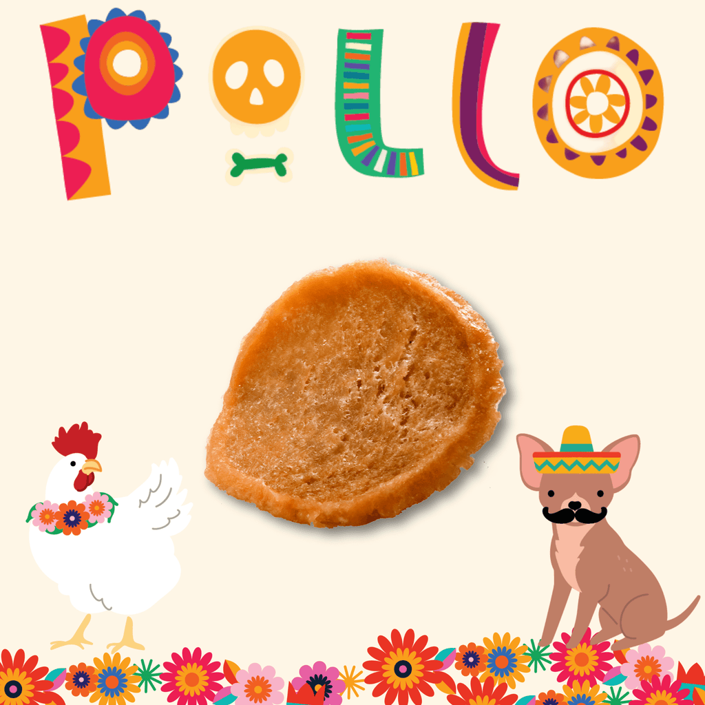 Fiesta Pack Dog Treat Variety Bundle