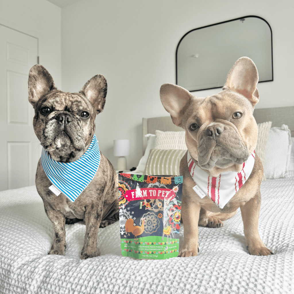 Fiesta Pack Dog Treat Variety Bundle