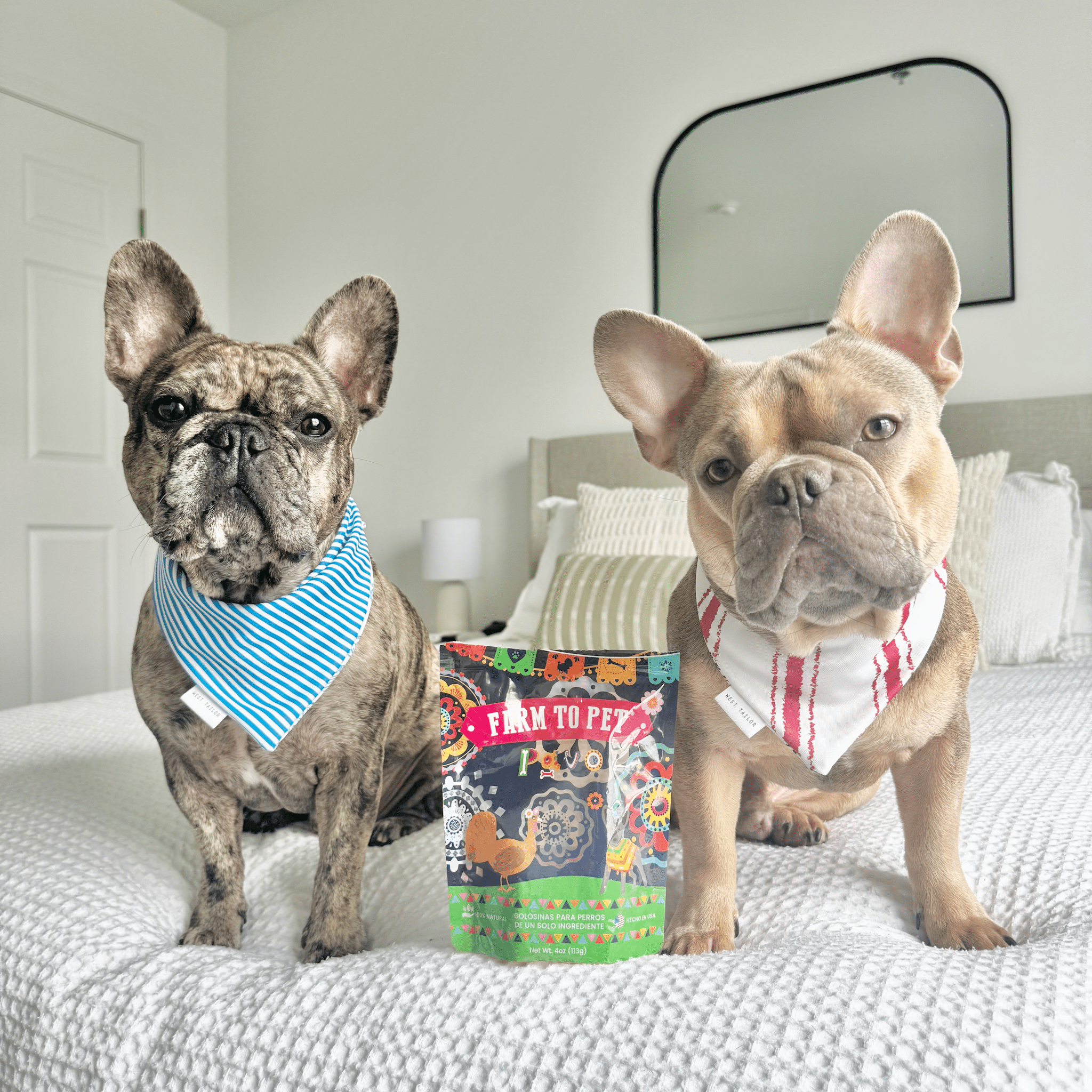 Fiesta Pack Dog Treat Variety Bundle