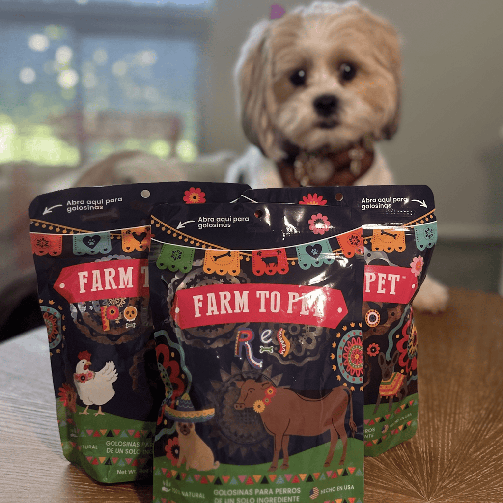 Fiesta Pack Dog Treat Variety Bundle