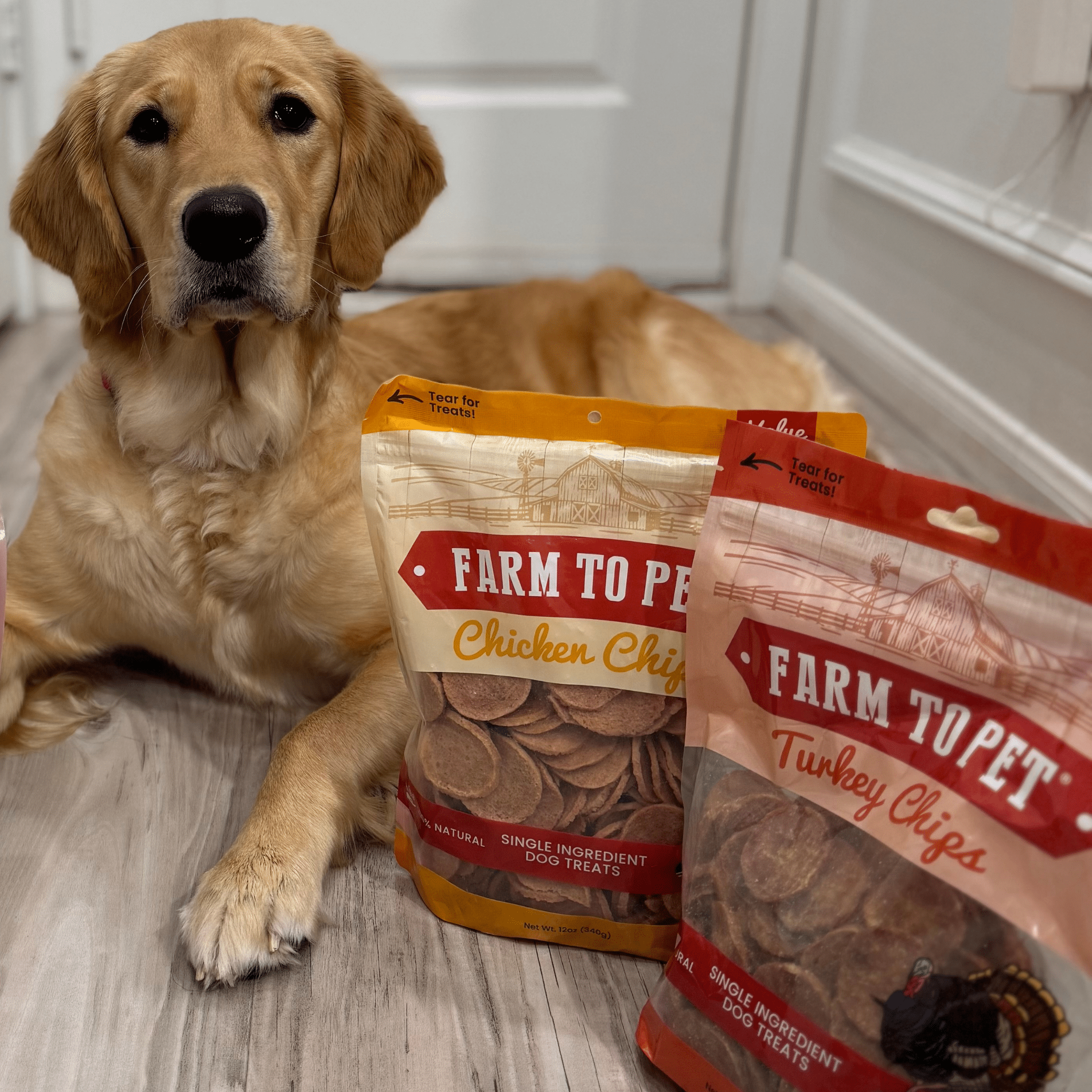 Turkey & Chicken Chip Duo