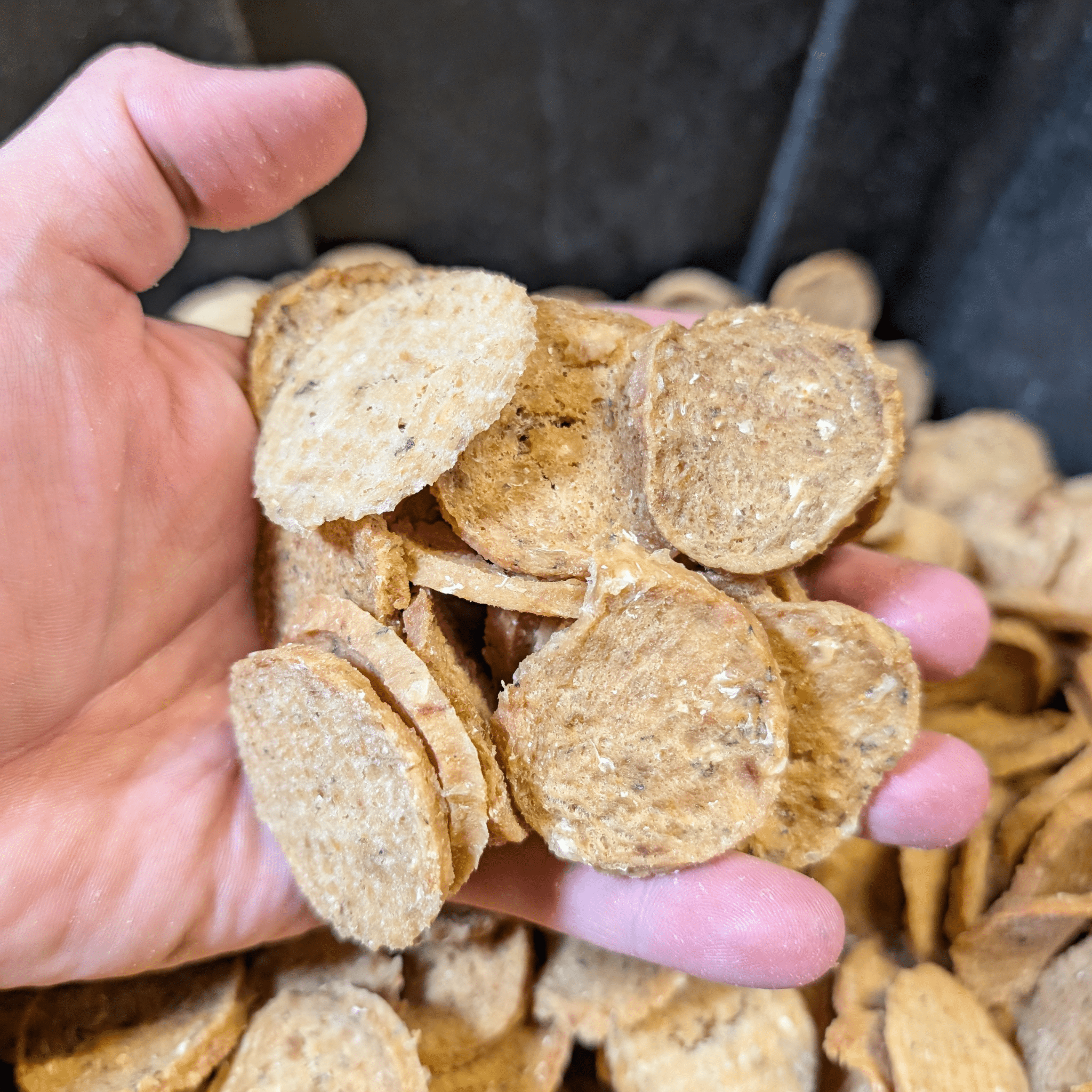 Fish Chips Dog Treats