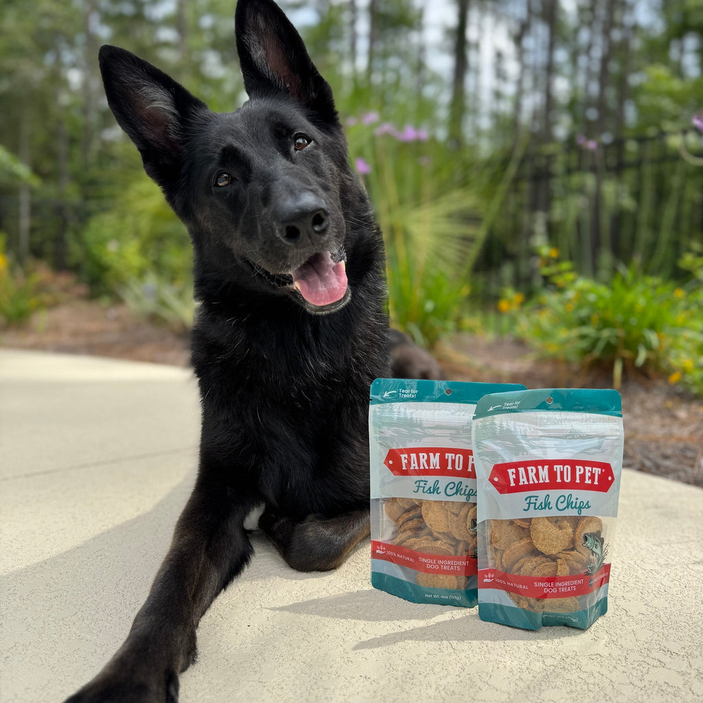 Fish Chips Dog Treats