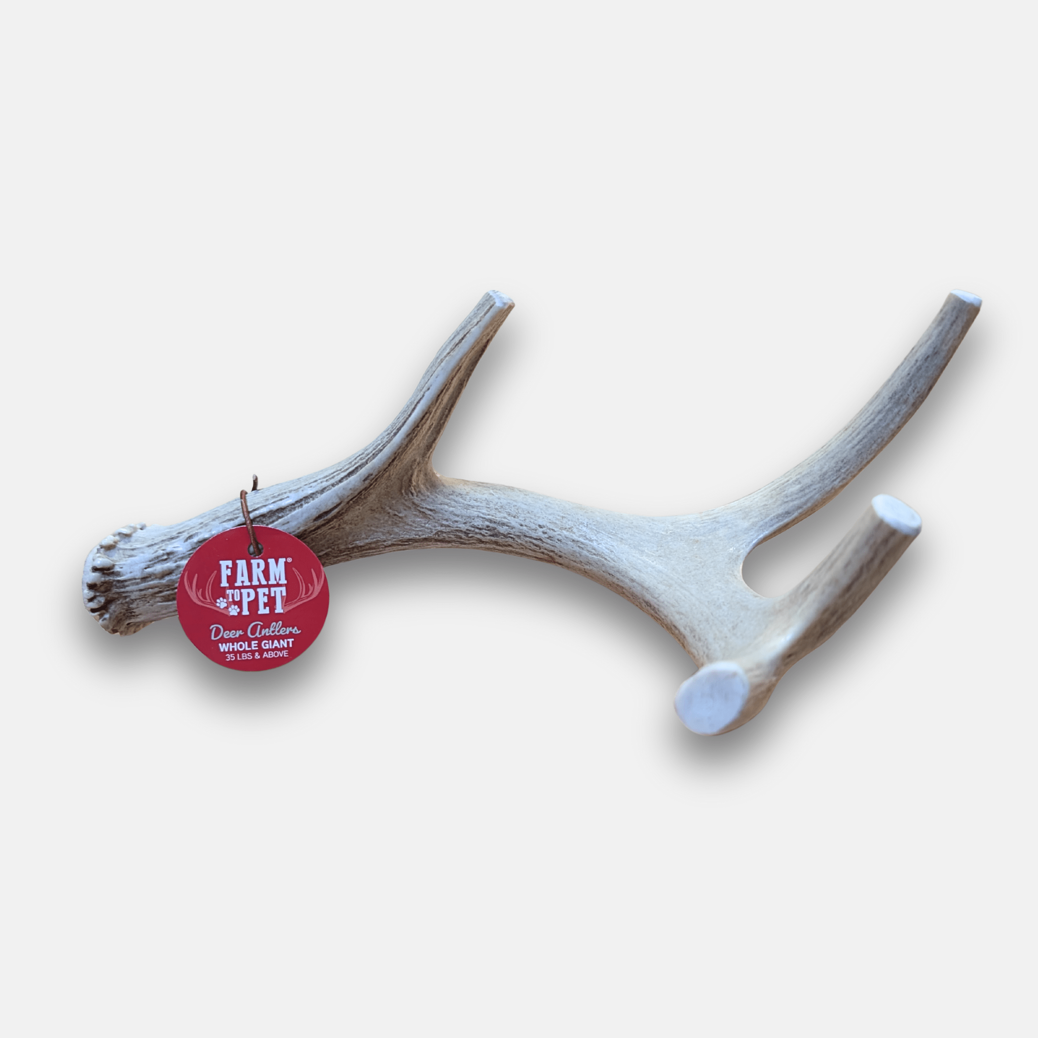 Deer Antler Dog Chews