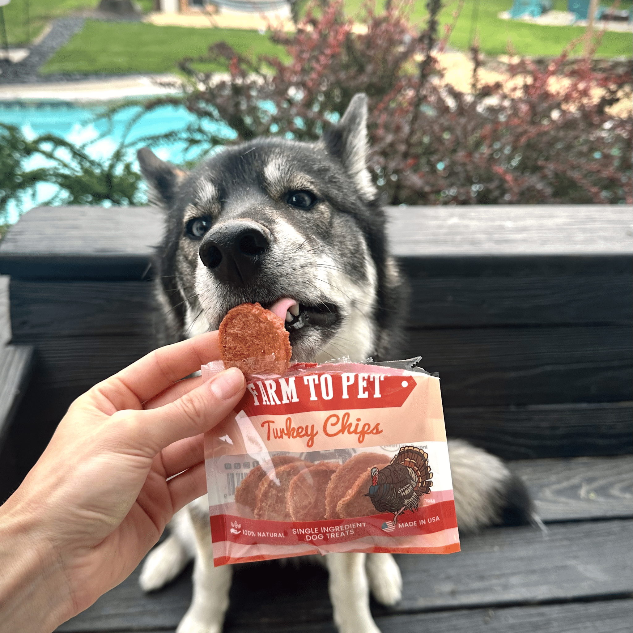 Turkey Chips Snack Pack