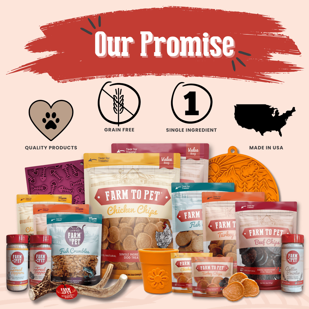 Turkey Chips Dog Treats