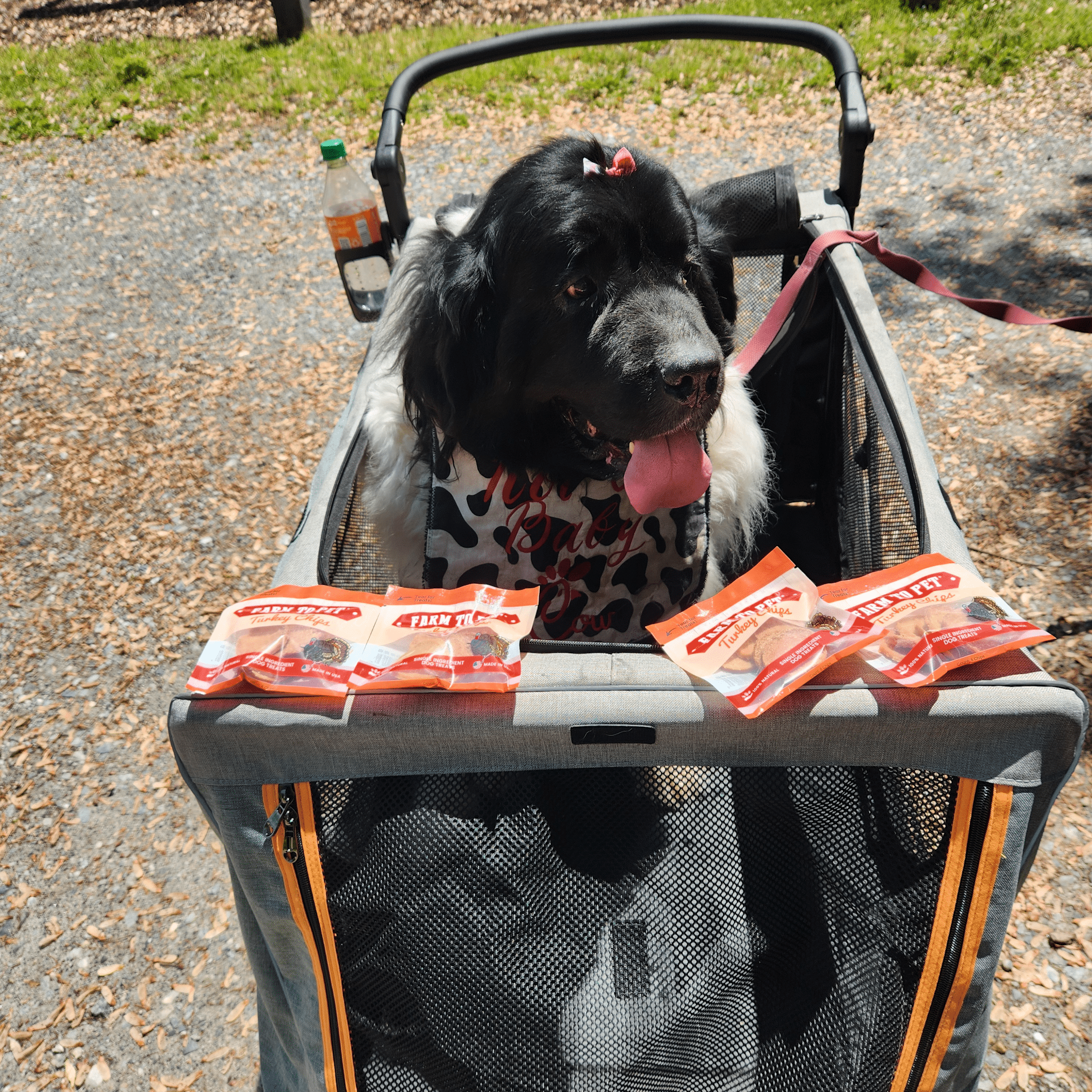 Turkey Chips Snack Pack