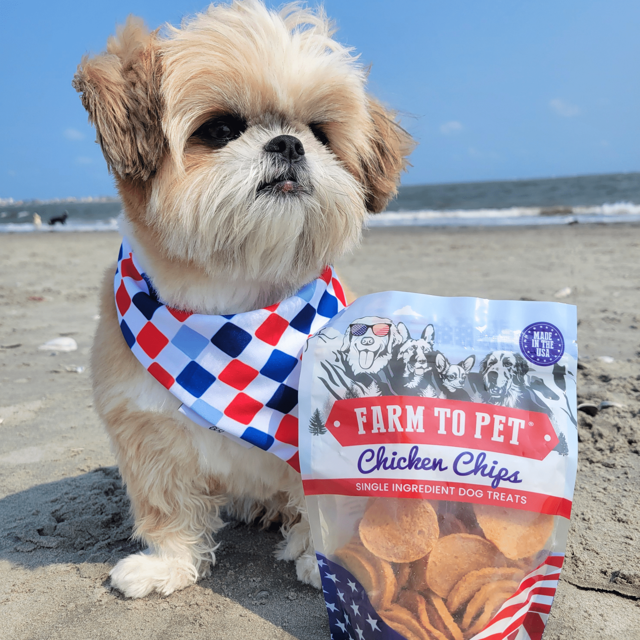 Americana Chicken Chips