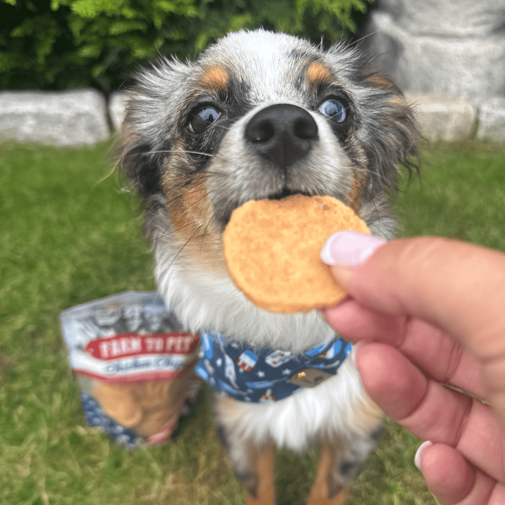 Americana Chicken Chips