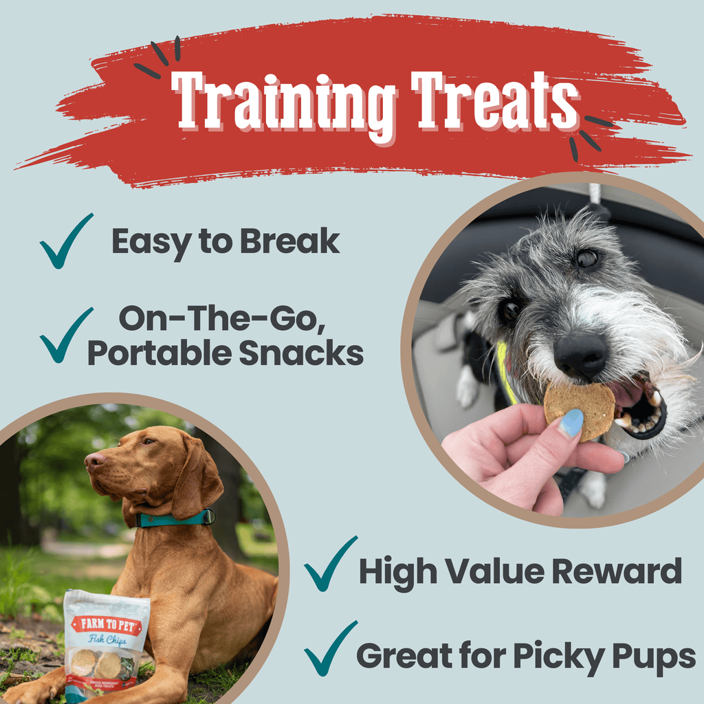 Fish Chips Dog Treats