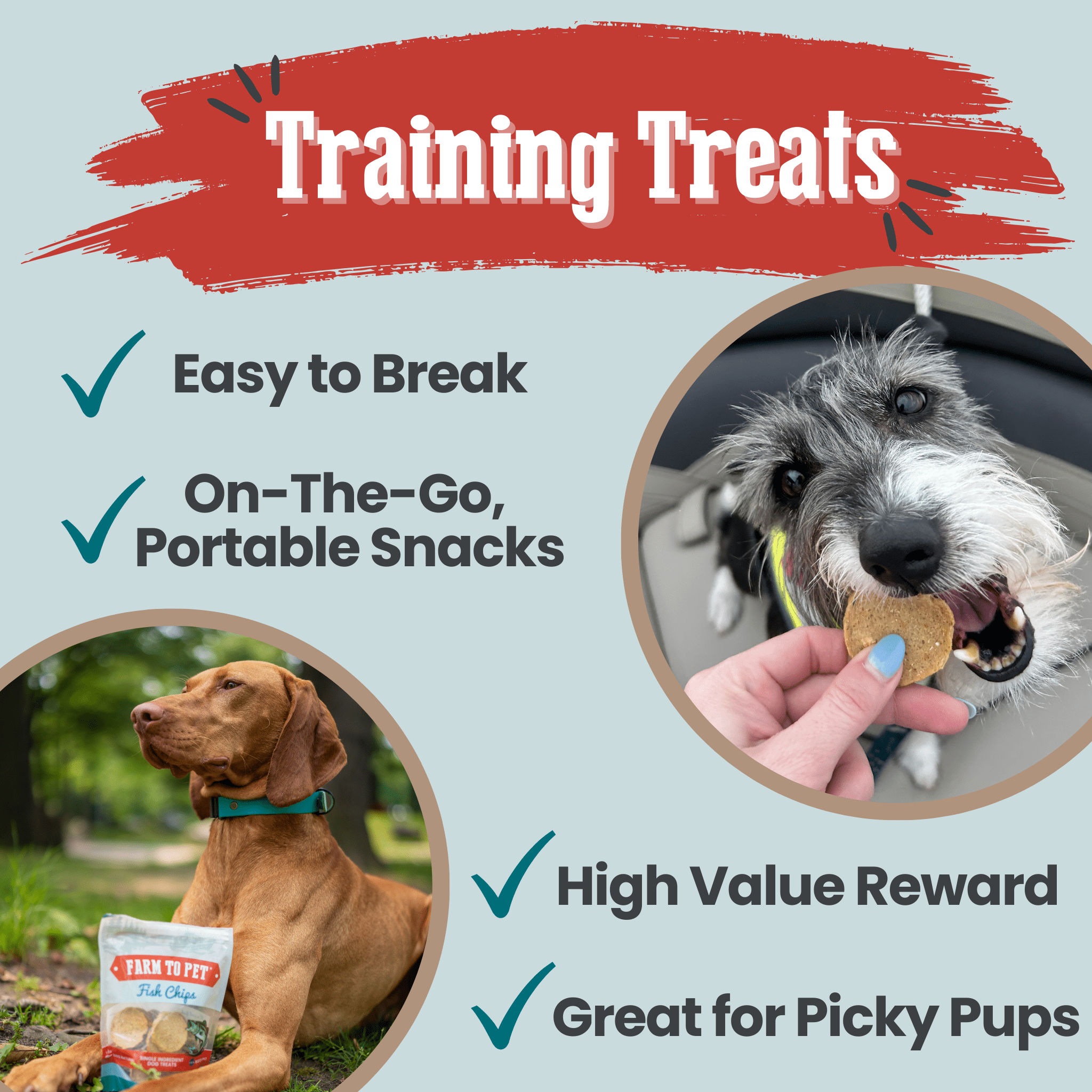 Fish Chips Dog Treats