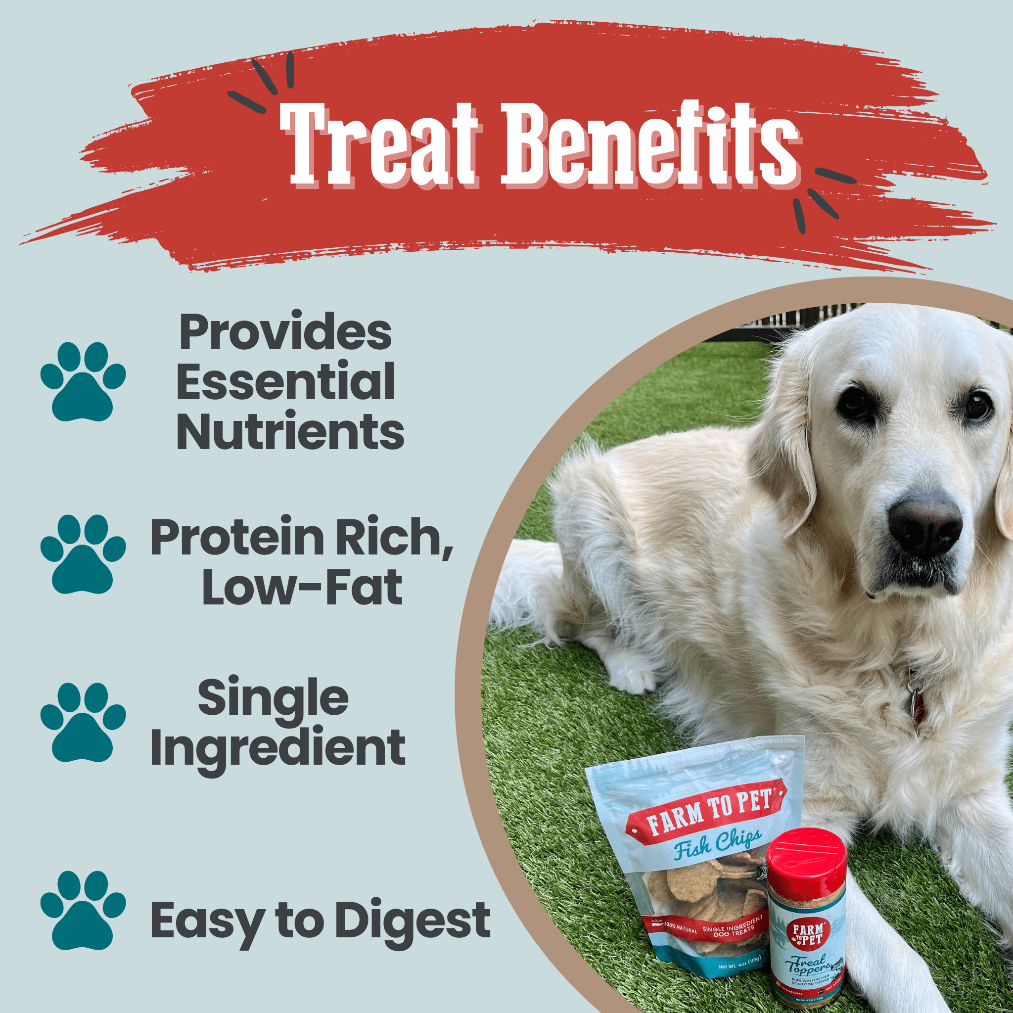 Fish Chips Dog Treats