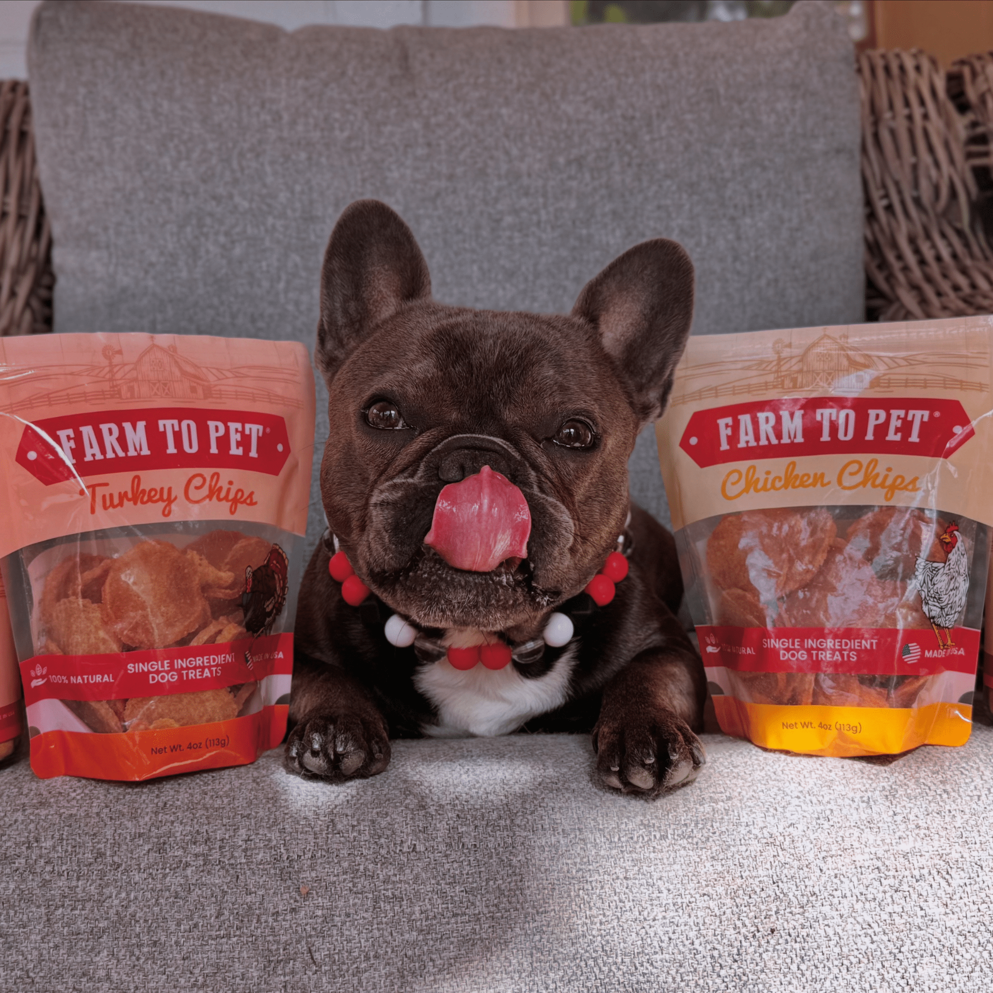 Turkey & Chicken Chip Duo