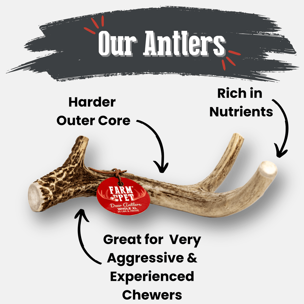 Deer Antler Dog Chews