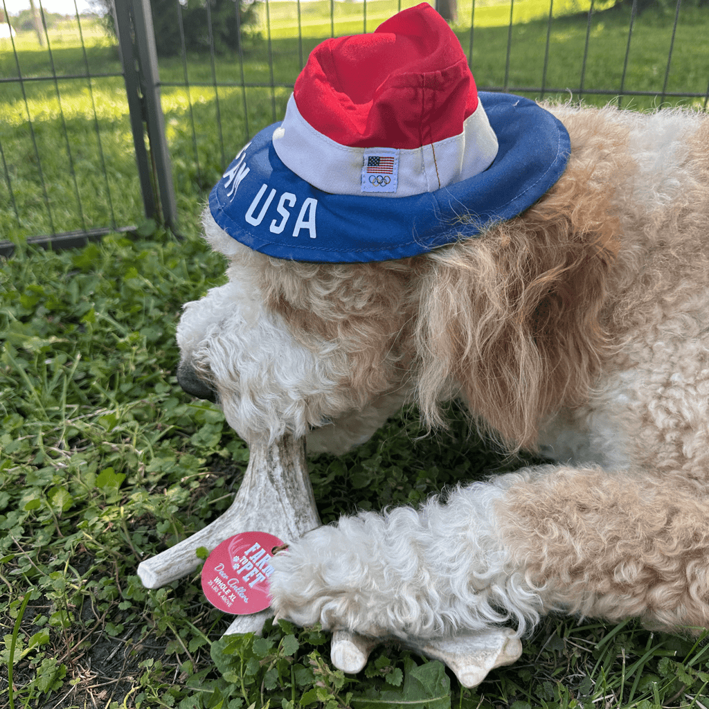 Deer Antler Dog Chews