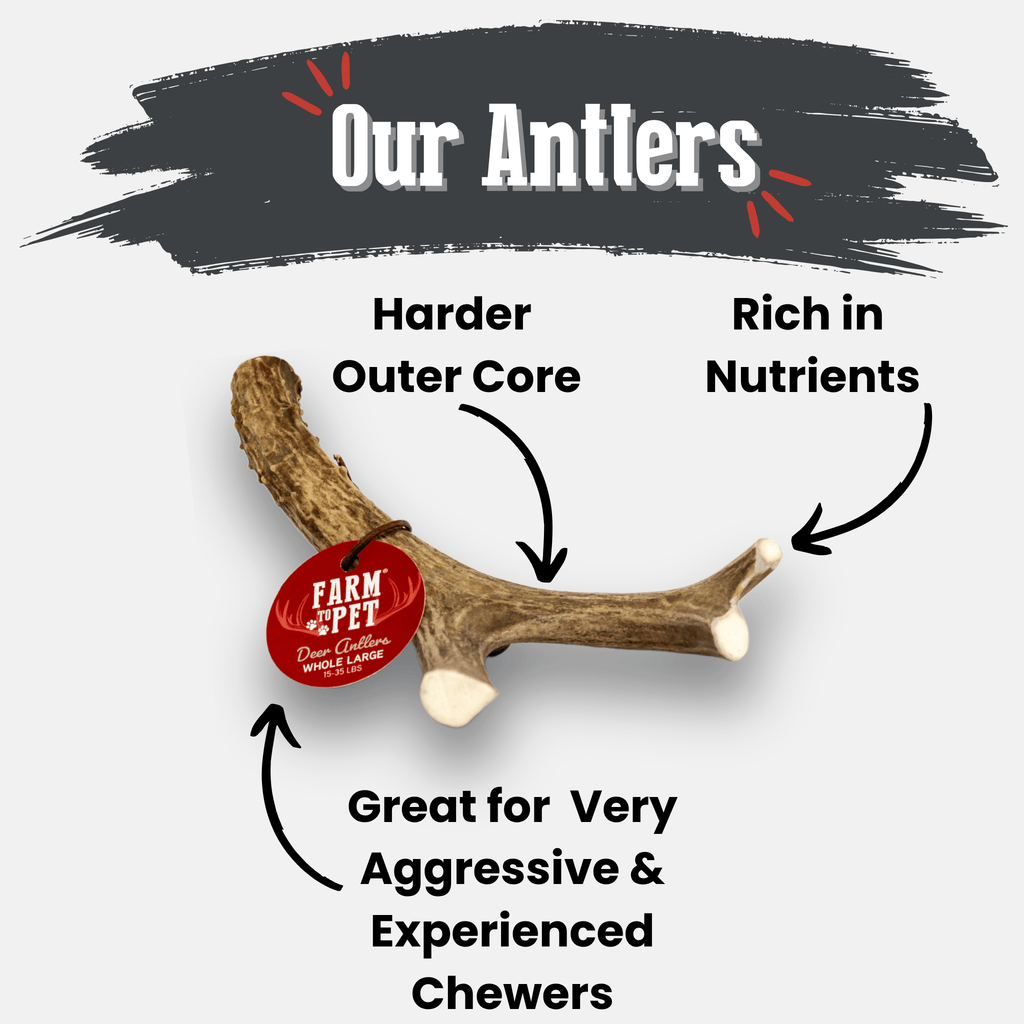 Deer Antler Dog Chews