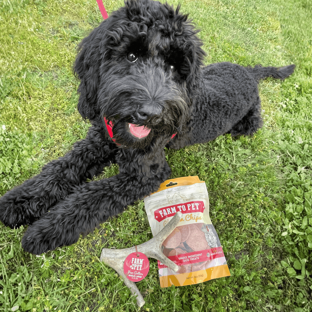 Deer Antler Dog Chews