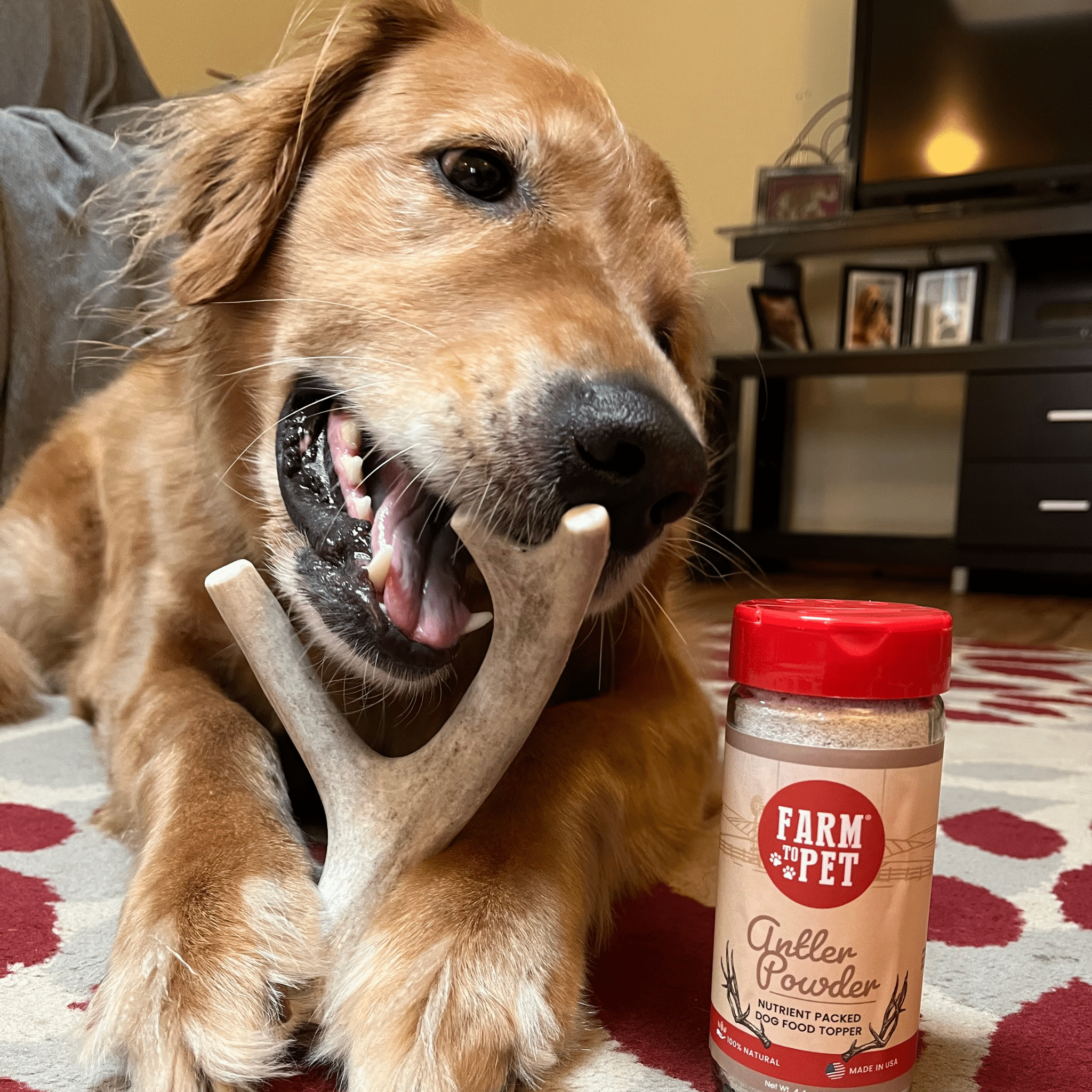 Deer Antler Dog Chews