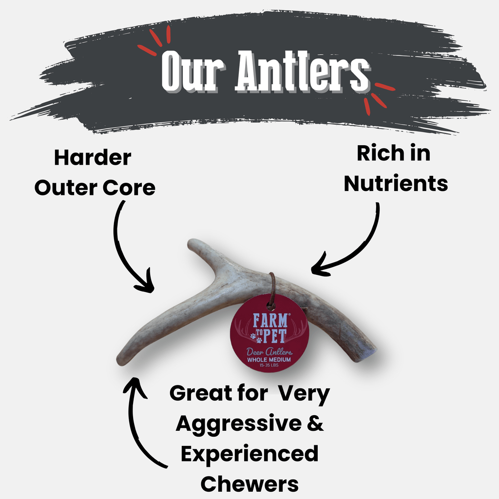 Deer Antler Dog Chews