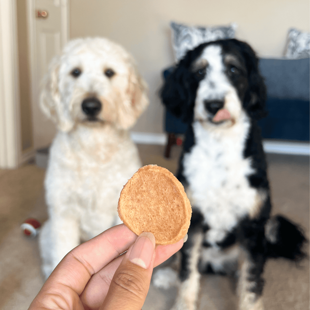 Chicken Chips Dog Treats