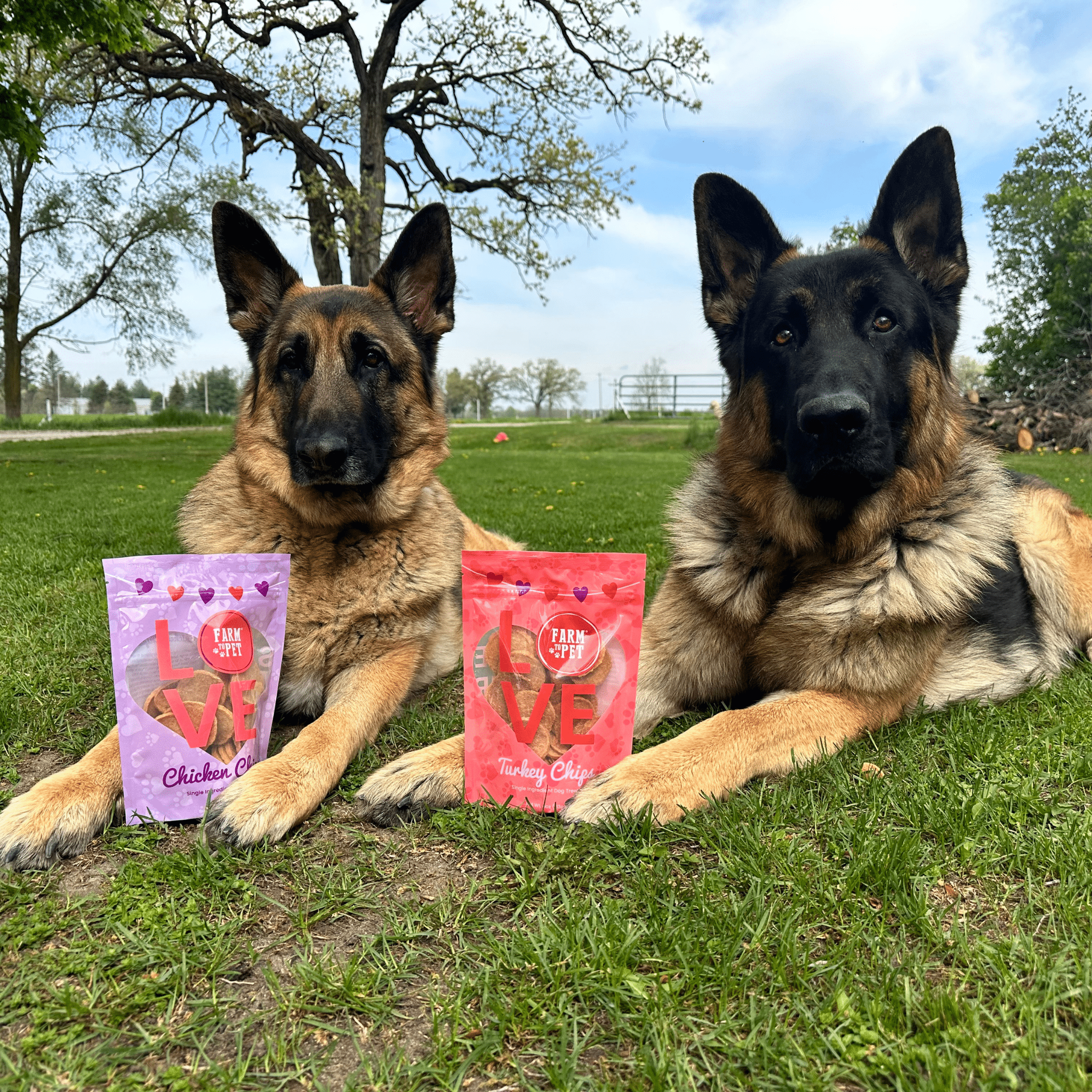 Poultry Chip Variety Pack