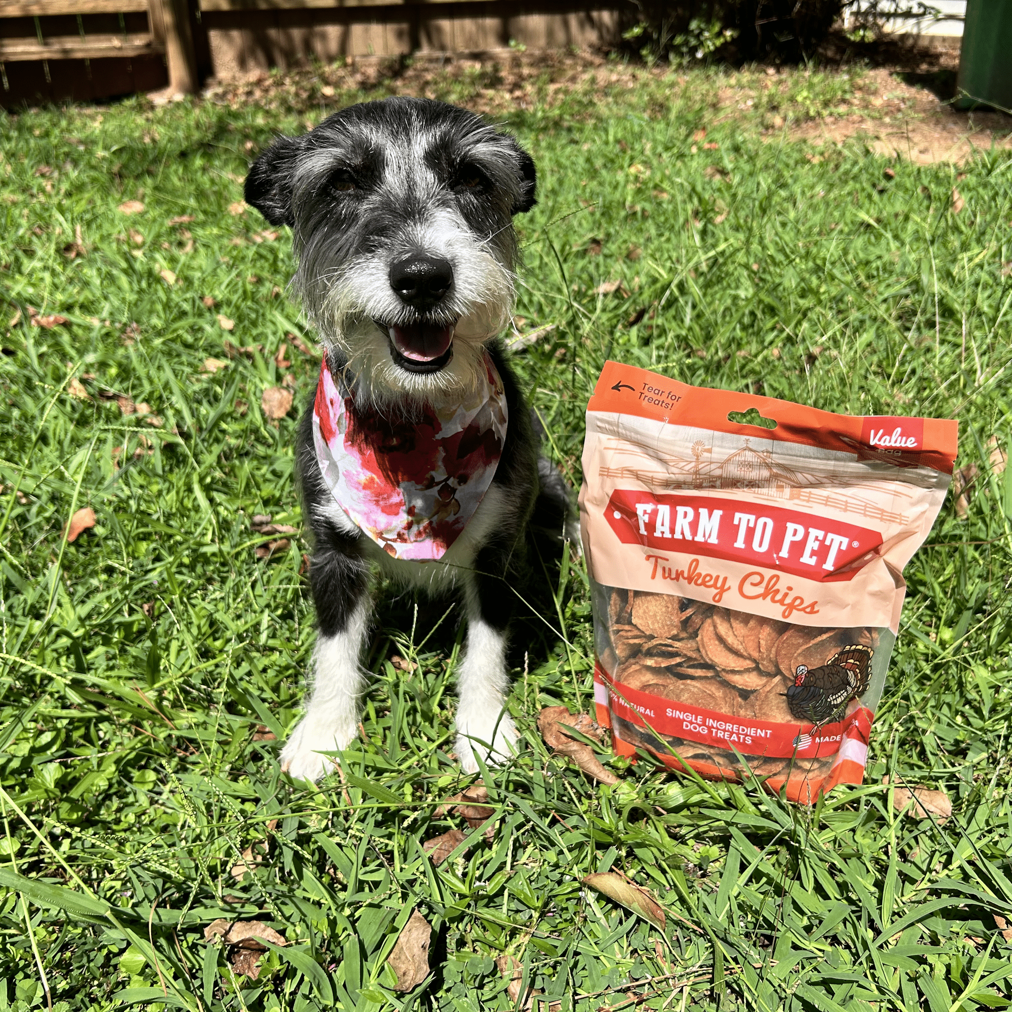 Turkey Chips Dog Treats