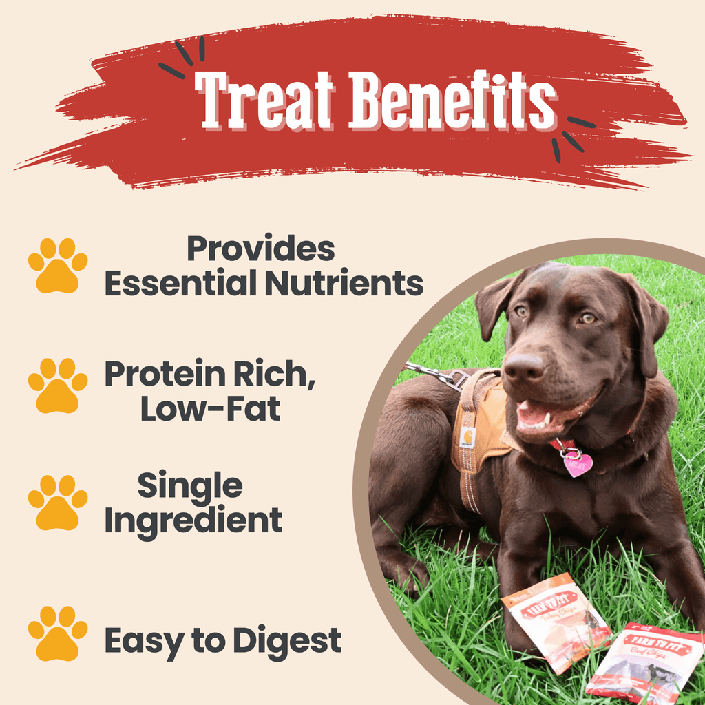 Dog Treat Sampler Snack Pack