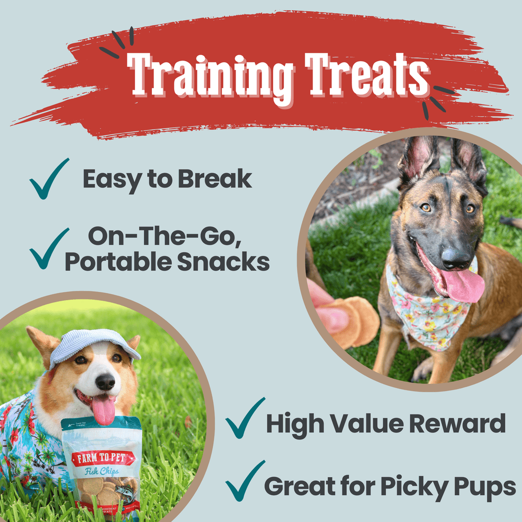 Fish Chips Dog Treats