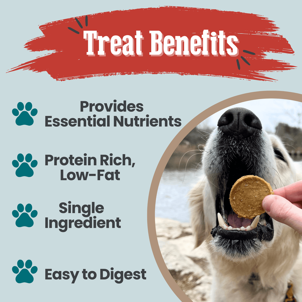 Fish Chips Dog Treats