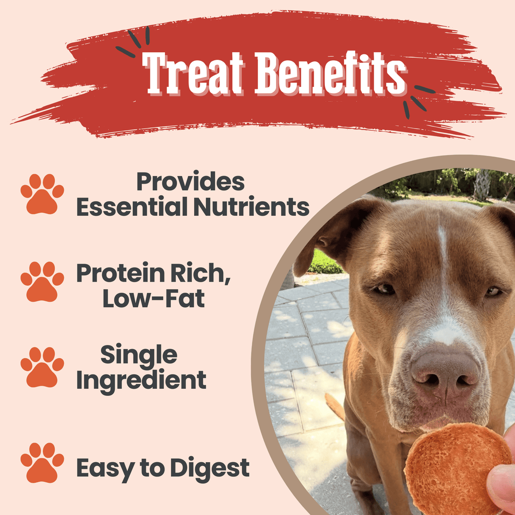 Turkey Chips Dog Treats