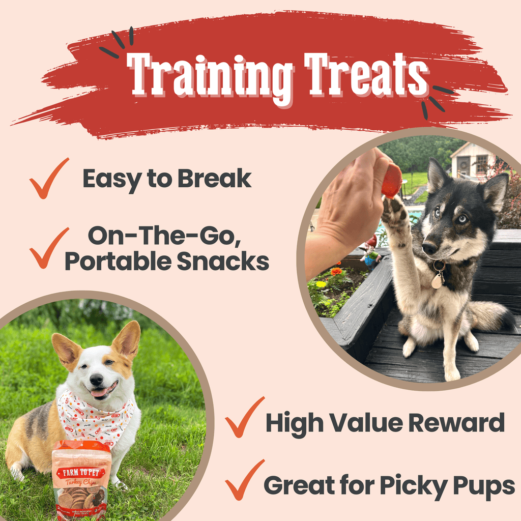 Turkey Chips Dog Treats