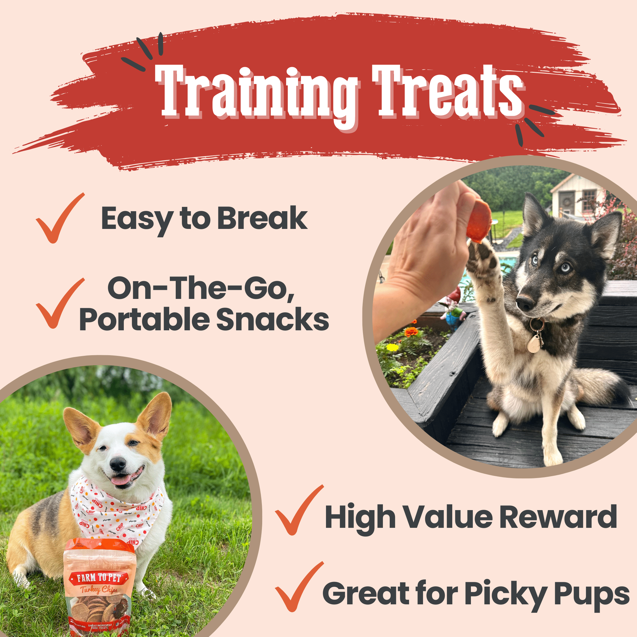 Turkey Chips Dog Treats