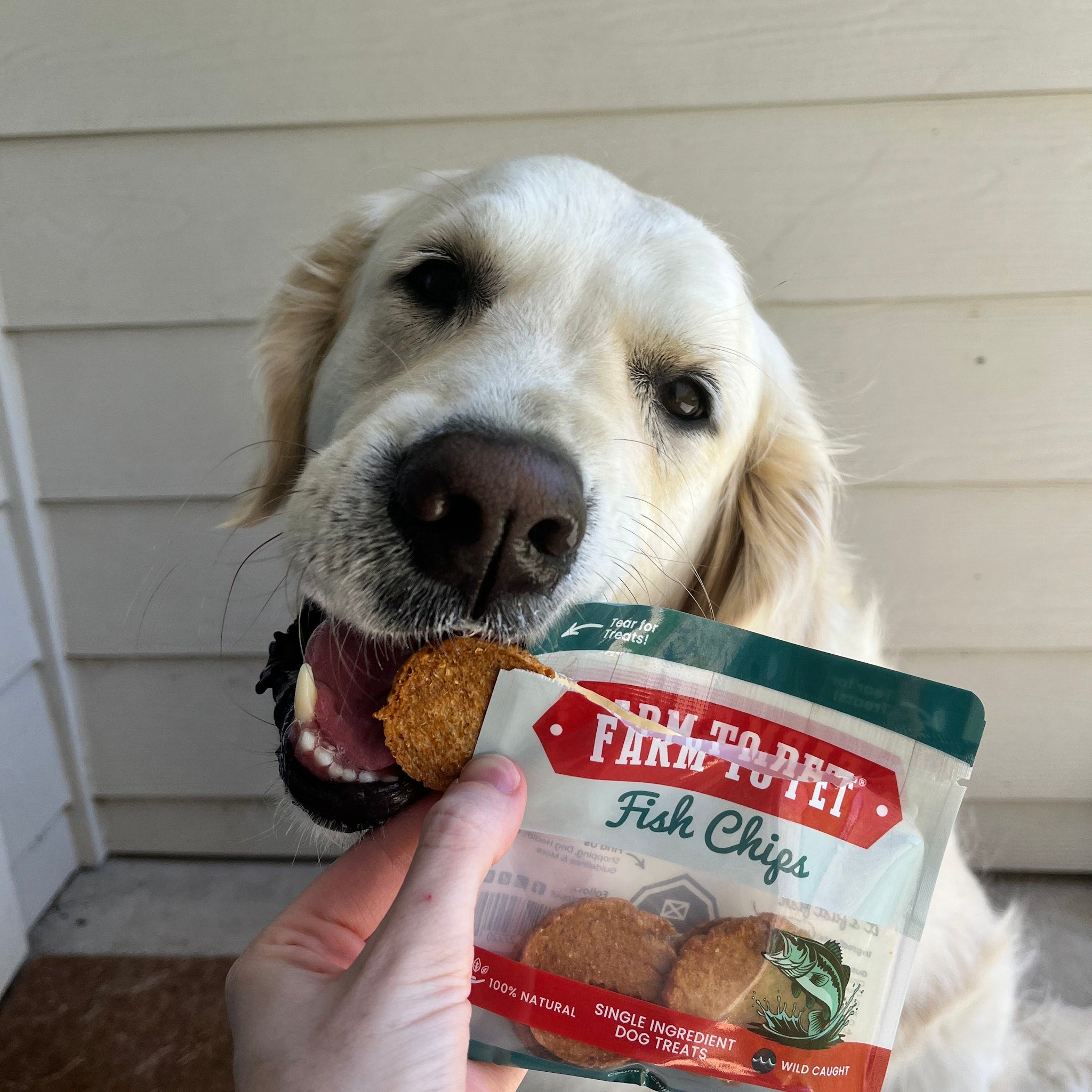 Dog Treat Sampler Snack Pack