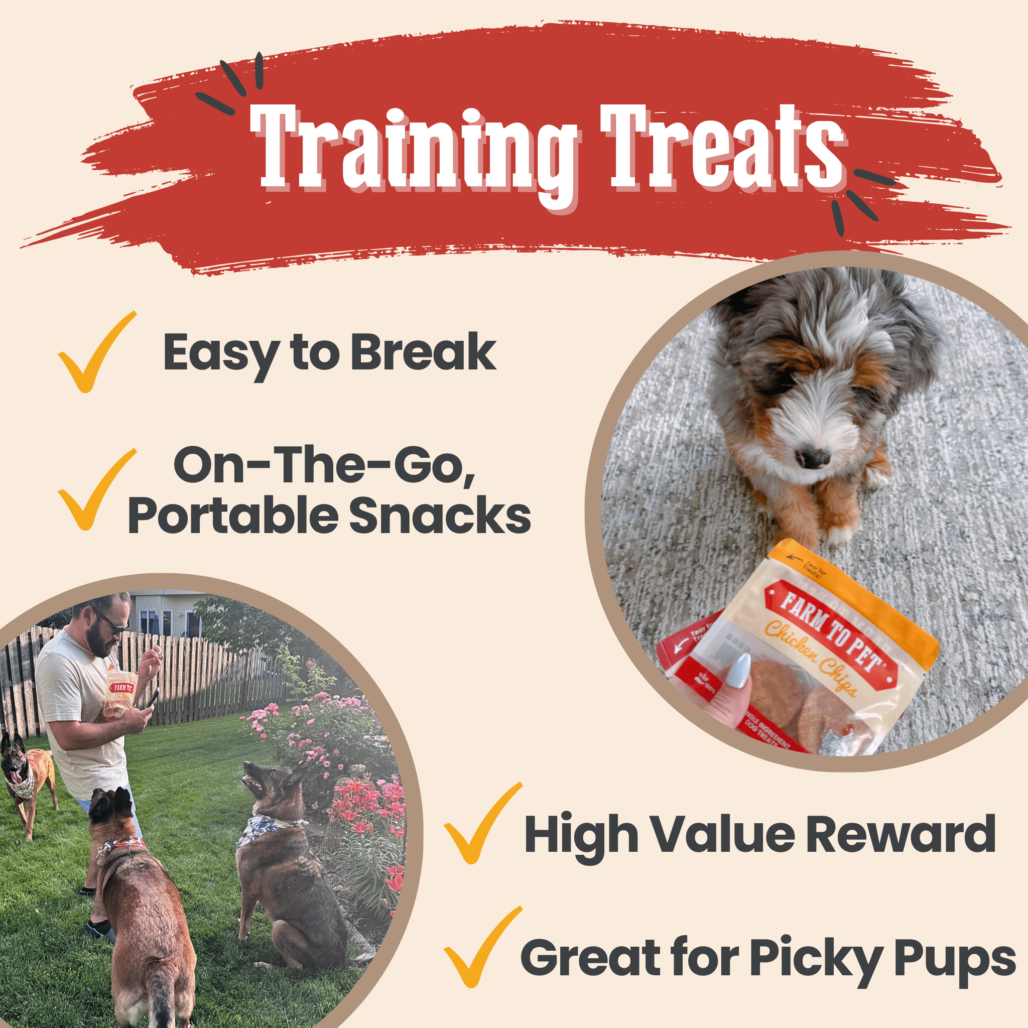 Dog Treat Sampler Snack Pack