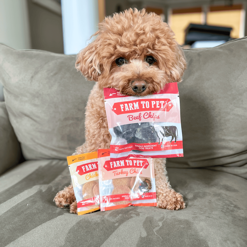 Dog Treat Sampler Snack Pack