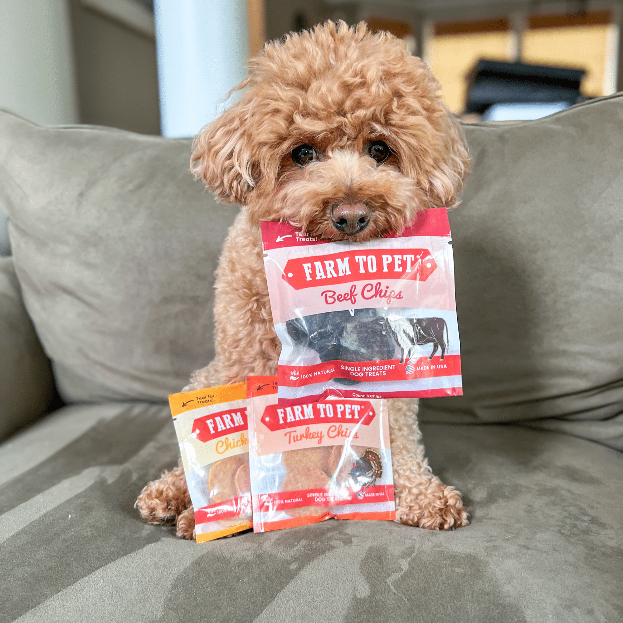 Dog Treat Sampler Snack Pack
