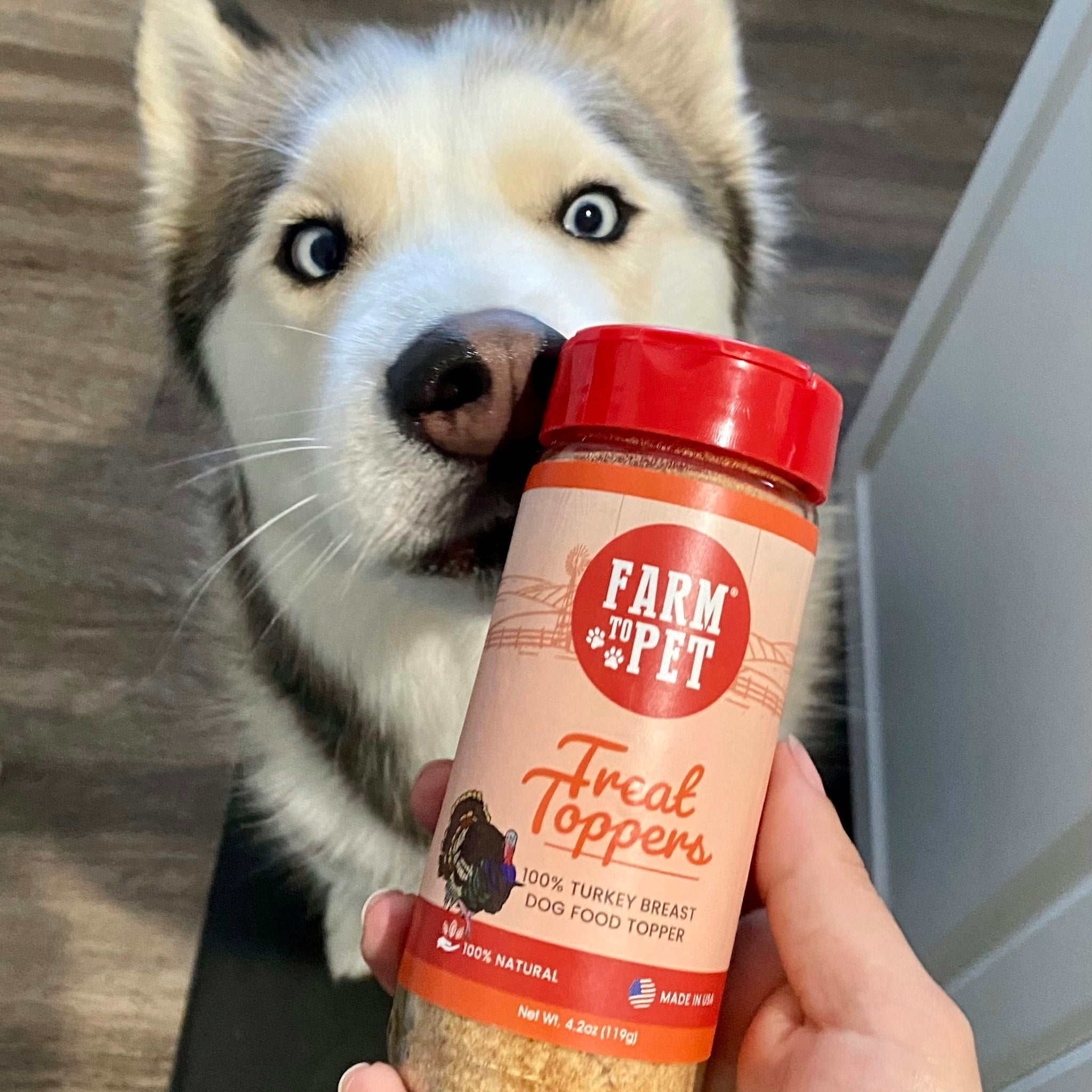 Turkey Food Topper