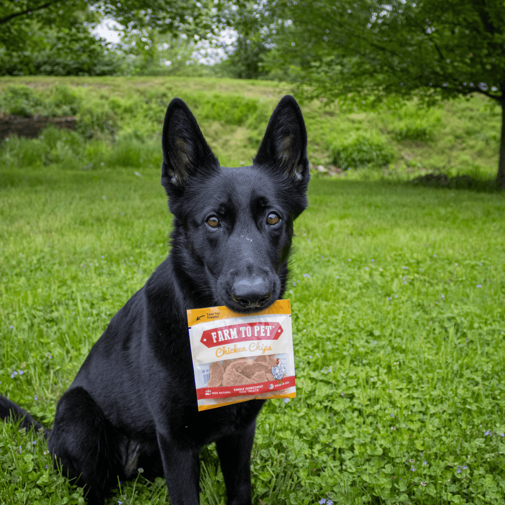 Chicken Chips Snack Pack