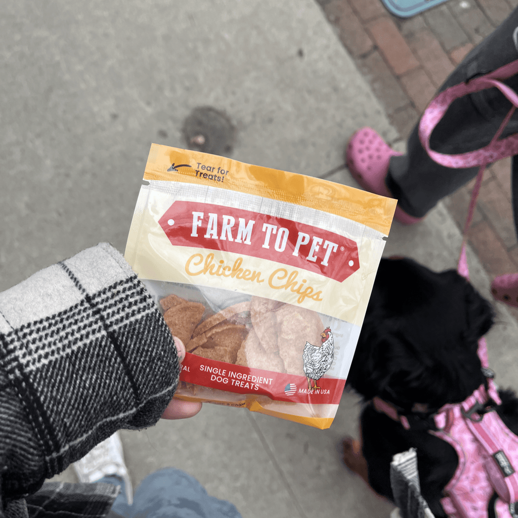 Chicken Chips Snack Pack