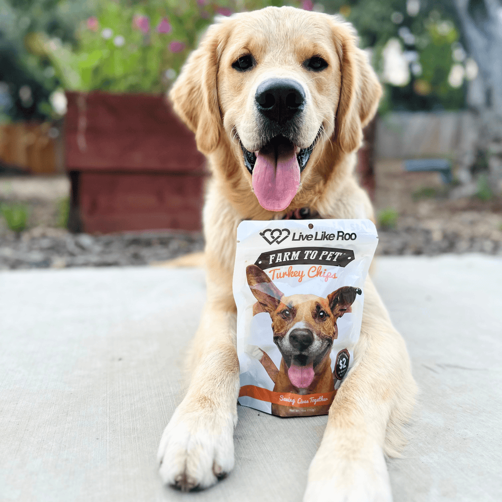 Live Like Roo Turkey Chips