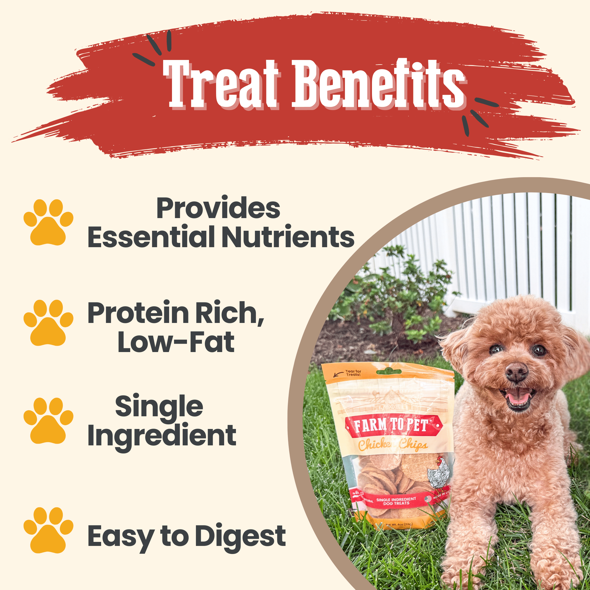 Chicken Chips Dog Treats