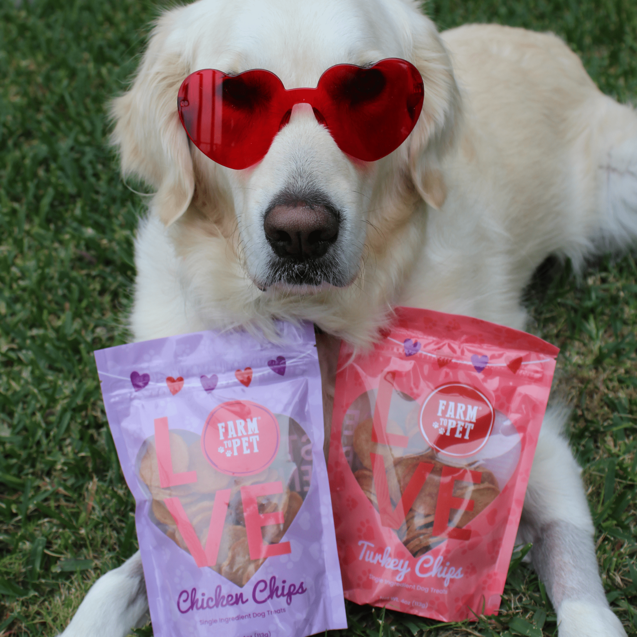 Poultry Chip Variety Pack