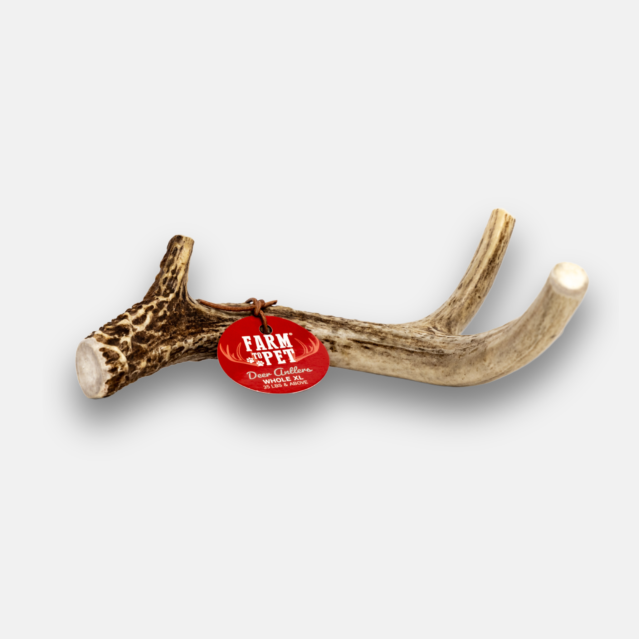 Deer Antler Dog Chews