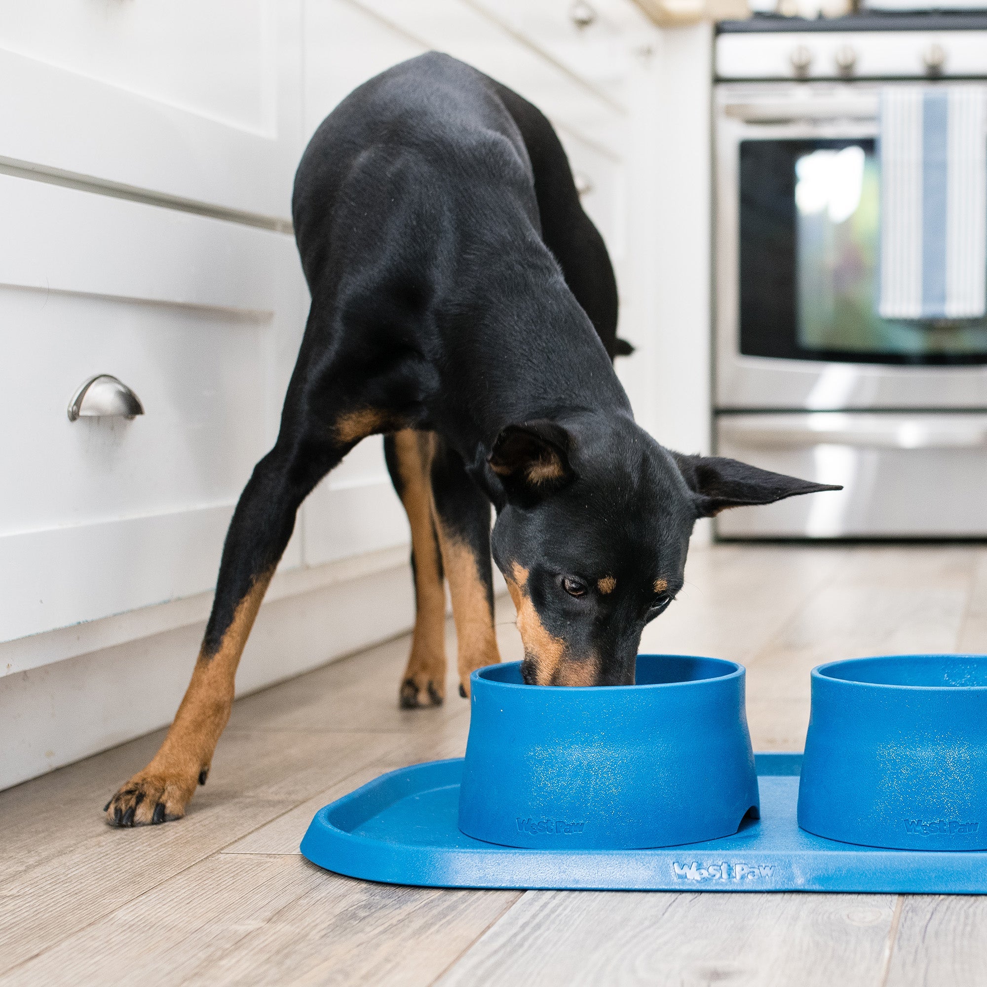 Non-Slip Pet Food Placemat