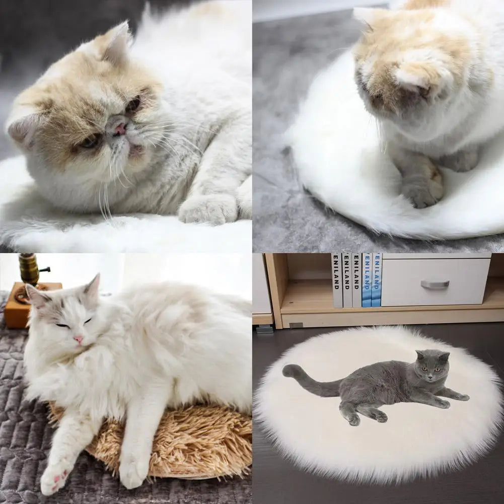 USB Heated Pet Blanket & Travel Mat