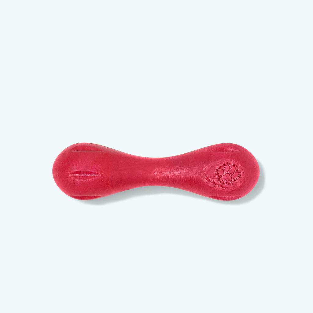 Hurley Fetch Dog Toy
